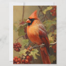Search for red cardinals cards Forest