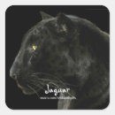 Search for black jaguars stickers Big cats