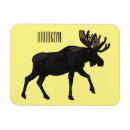 Search for moose magnets Elk