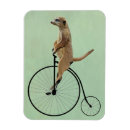 Search for meerkat magnets Antique