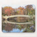 Search for central park mouse mats New york city