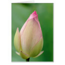 Search for durban postcards Durban botanical gardens