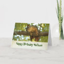 Search for cute squirrels cards Funny
