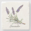 Search for herbal coasters Botanical