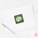 Search for calla square stickers Green