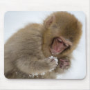 Search for baby monkey mouse mats Wildlife