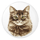 Search for eye knobs and pulls Cat