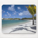 Search for resort mouse mats Palm tree