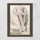 Search for botswana postcards Elephant