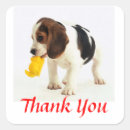 Search for beagle puppy stickers Beagles