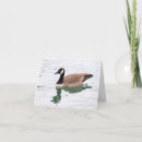 Search for canadian wildlife cards Goose