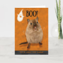 Search for pet halloween cards Boo