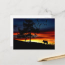 Search for bird silhouette postcards Black