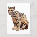 Search for realism vertical postcards Cat
