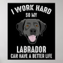 Search for funny labrador posters Cute