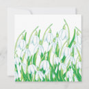 Search for snowdrop cards Floral