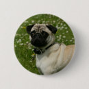 Search for playing dog badges Carlin
