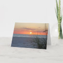 Search for sea oat cards Oats