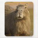 Search for mcdonald mouse mats Mary ann mcdonald