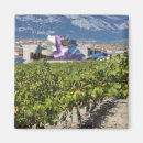 Search for bodega magnets Basque