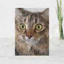 Search for maine coon cat birthday cards Kitty