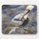 Search for rock mouse mats Shore