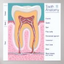 Search for dental office posters Tooth