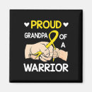 Search for bump magnets Grandpa