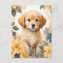 Search for cute golden retriever postcards Puppy