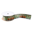 Search for fall pumpkins ribbon Autumn