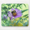 Search for bumblebee mouse mats Nature