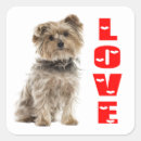 Search for yorkie dad Dog