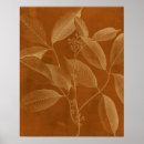 Search for botany posters Flowers
