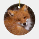 Search for red fox christmas tree decorations Animals