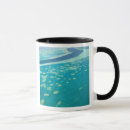 Search for queensland mugs Tropical