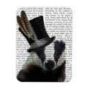 Search for tophat magnets Steampunk