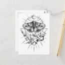 Search for moths postcards Beautiful