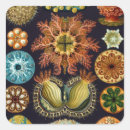 Search for vintage marine stickers Ocean life