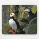 Search for two animals mouse mats Sea