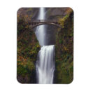 Search for fall tree cards Outdoors
