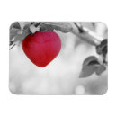Search for heart shaped magnets Black and white