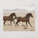 Search for plain horizontal postcards Desert
