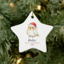 Search for cockatiel christmas tree decorations Pet bird