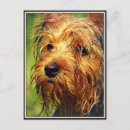 Search for curls postcards Fur