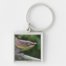 Search for chameleon key rings Wildlife