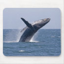 Search for humpback mouse mats Whale