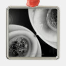 Search for cell division Mitosis