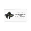 Search for aquarium fish return address labels Pet