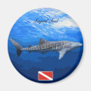 Search for shark magnets Animals