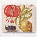 Search for beetles mouse mats Rhinoceros beetle
